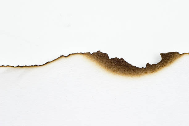 istock paper burned old grunge abstract background texture 1161183524