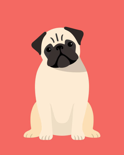pug dog is sitting in the front, looking at you with its head tilted. pug dog is sitting in the front, looking at you with its head tilted. dog sitting icon stock illustrations