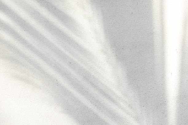 istock abstract background texture of shadows palm leaves on a concrete wall 1161184953