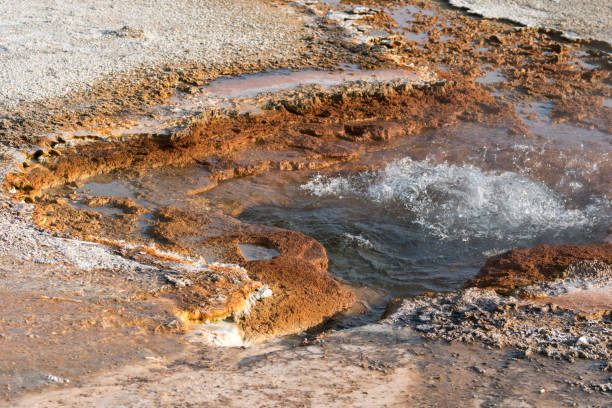 istock Geyser in Biscuit Basin in Yellowstone National Park 1161185493