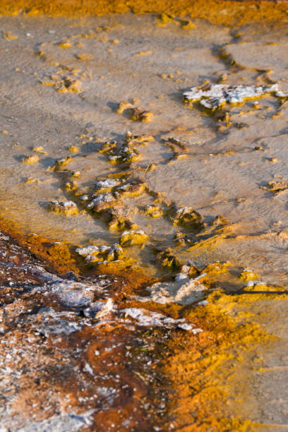 istock Geyser in Biscuit Basin in Yellowstone National Park 1161185505