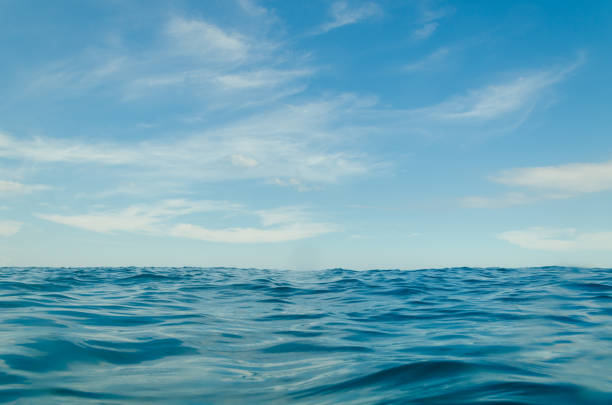 istock Ocean waves from the near with blue sky 1161185634
