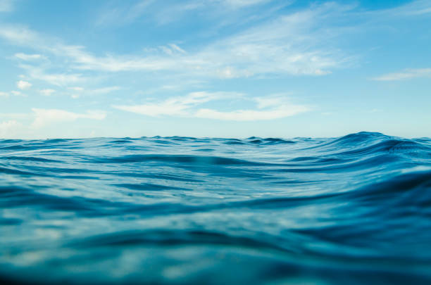 istock Ocean waves from the near with blue sky 1161185686