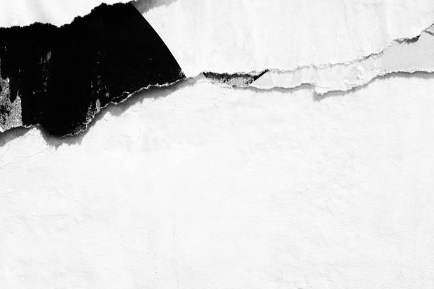istock Blank white black old ripped torn paper crumpled creased posters grunge textures backdrop backgrounds placard - Stock image 1161186934
