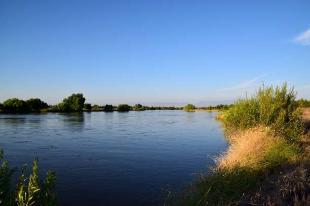istock Kern river lush vegetation during summer season. 1161188090