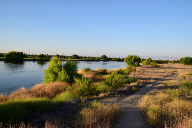 A dirt trail along Kern River.