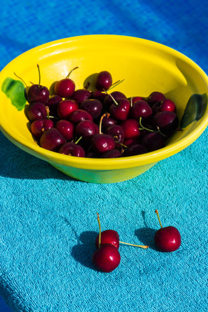 Yellow bowl full of red cherries on a blue surface