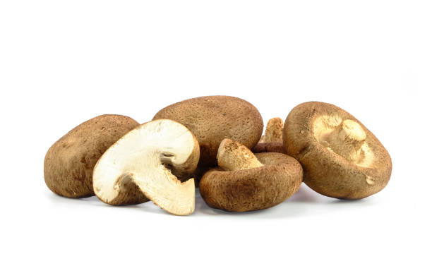 istock pile of mushroom on white 1161189740