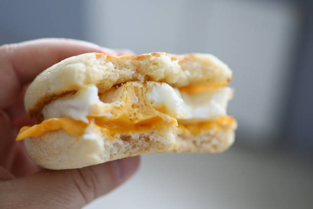 Male hand hold hot sandwich with