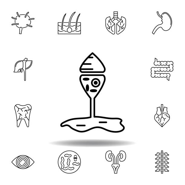 sada ikony obrysu kuželových buněk lidských orgánů. značky a symboly lze použít pro web, logo, mobilní aplikaci, uživatelské rozhraní, uživatelské rozhraní - ganglion stock ilustrace