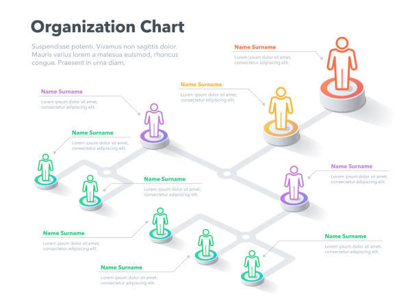 Organisation Tree Hierarchy Tree Illustrations, Royalty-Free Vector Graphics & Clip Art ...