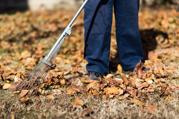 istock Man cleaning fallen leaves in the yard 1161193172