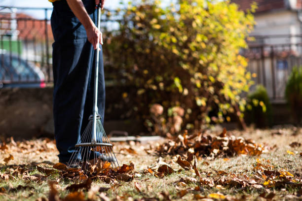 istock Man collecting fallen autumn leaves in the yard 1161194068