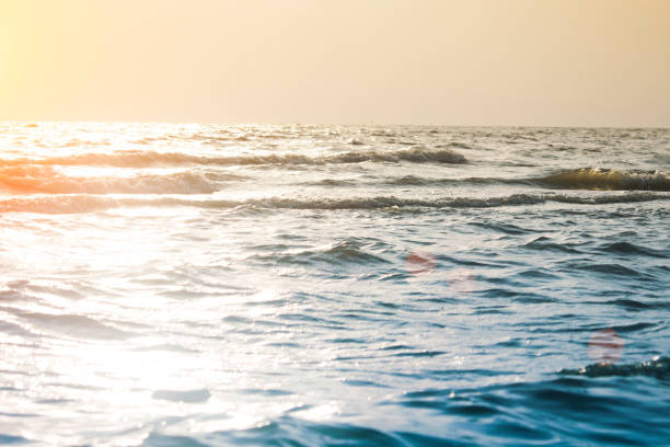 istock Sea waves at the beach in the evening 1161194078
