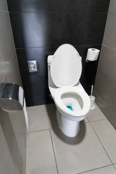 istock Toilet bowl in the bathroom 1161194214