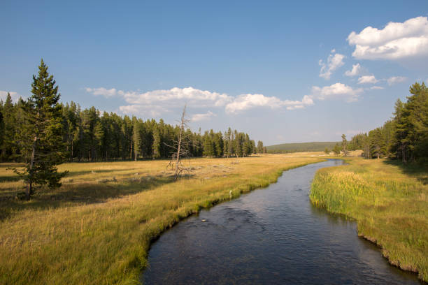 istock overview prairie and rivers in Yellowstone National Park 1161197207