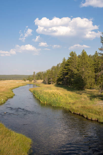 istock overview prairie and rivers in Yellowstone National Park 1161197209