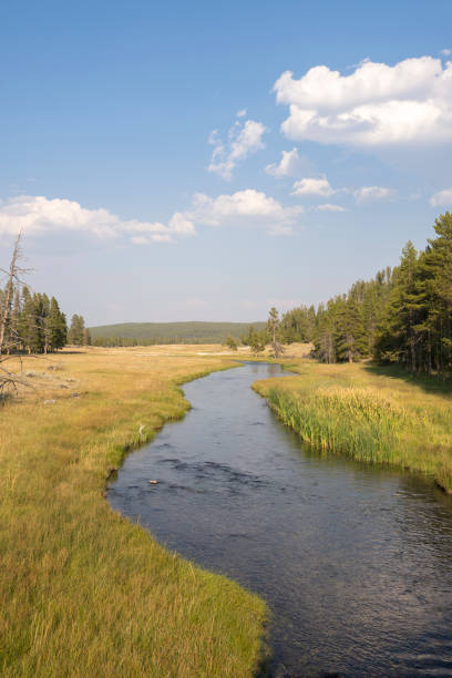 istock overview prairie and rivers in Yellowstone National Park 1161197211