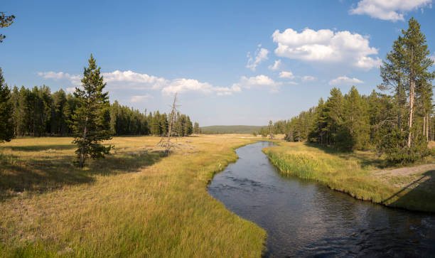 istock overview prairie and rivers in Yellowstone National Park 1161197608