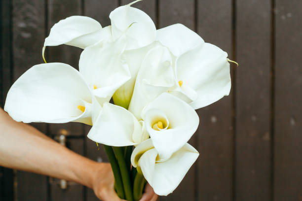 istock male hand with Calla lilies flowers 1161199698