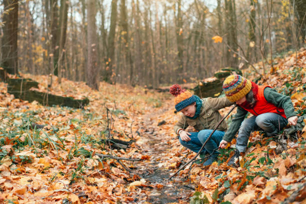 istock Happy children enjoying autumn in forest 1161200194