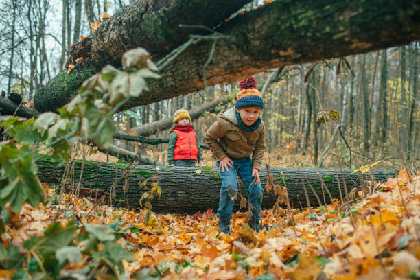 istock Happy children enjoying autumn in forest 1161200220