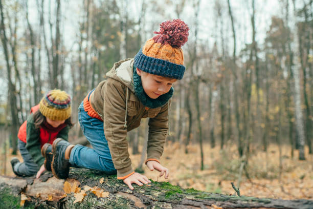 istock Happy children enjoying autumn in forest 1161200226