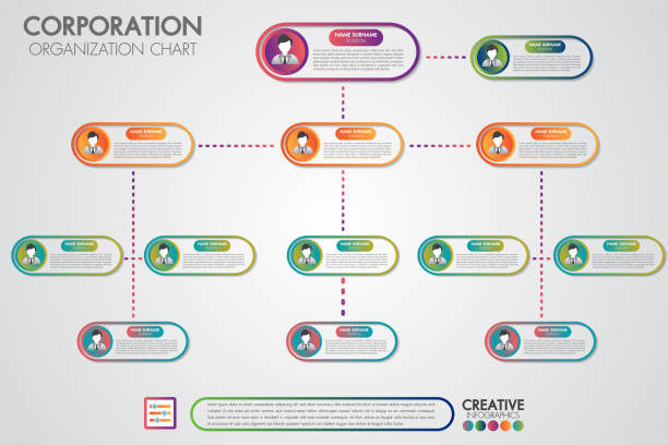 szablon wykresu organizacji korporacyjnej z ikonami osób biznesowych. wektorowa nowoczesna infografika i prosta z ilustracją profilu. hierarchia korporacyjna i połączenie modelu ludzkiego. - organization chart decisions business business person stock illustrations