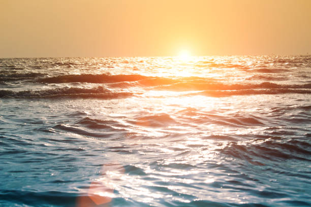 istock Sea waves at the beach in the evening 1161201315