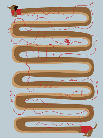 Very long sausage dog/ Dachshund illustration, with wired wool sweater