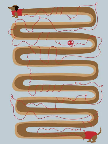 Vector illustration of Very long sausage dog illustration