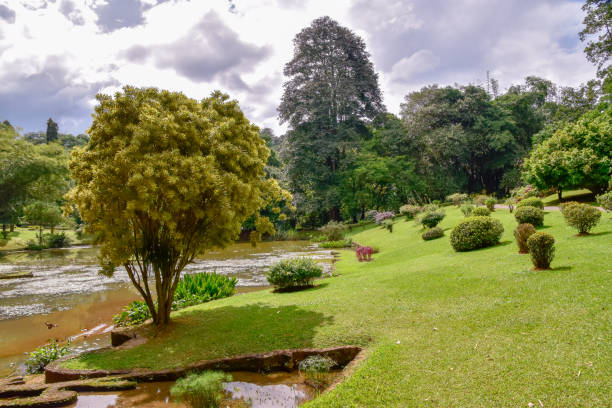 istock Kandy City in Sri Lanka 1161203056