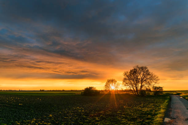 istock Setting sun behind a group of trees in the wide open dutch landscape 1161209820