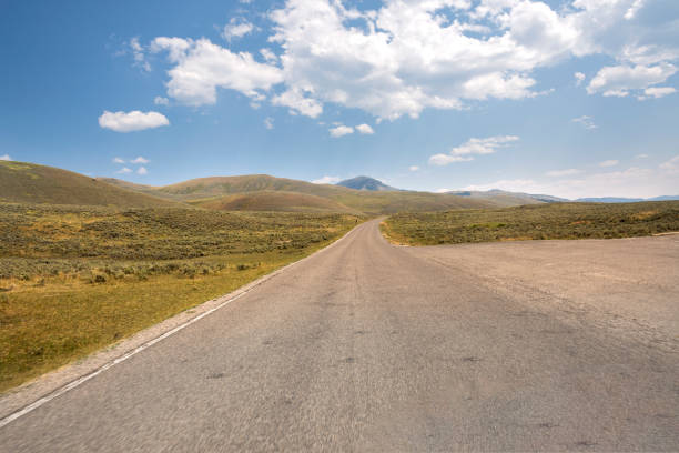 istock asphalt road in Yellowstone National Park 1161209879