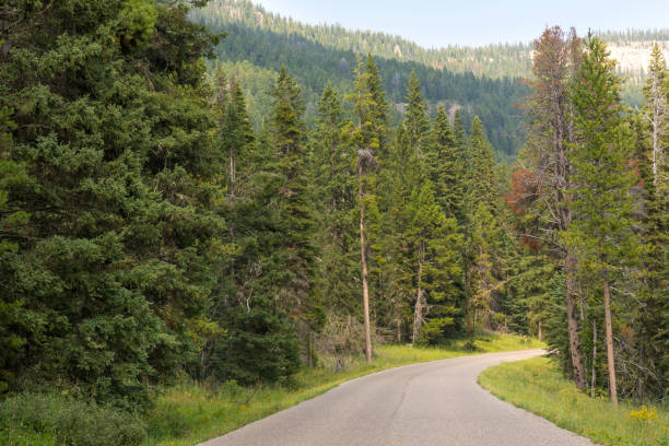 istock asphalt road in Yellowstone National Park 1161209883