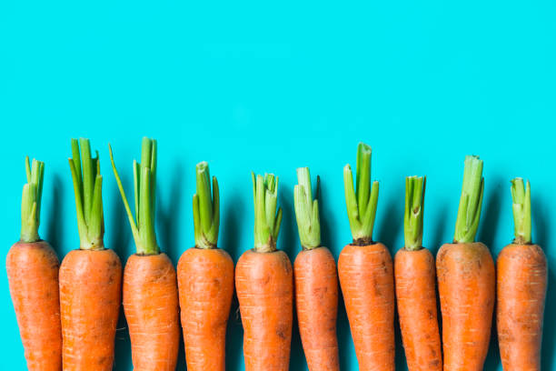 istock several fresh carrots lie in a row on a blue background. 1161210113