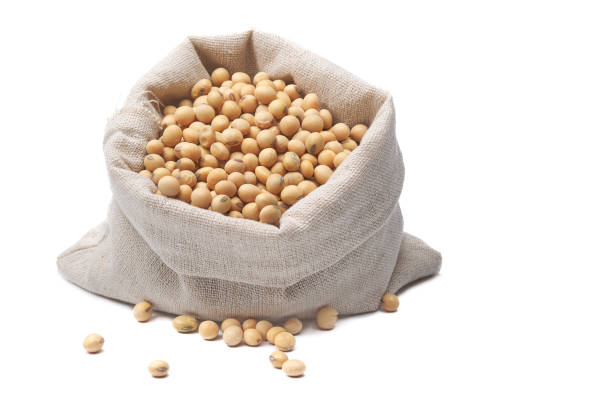 istock Soybeans in sack bag. 1161211606