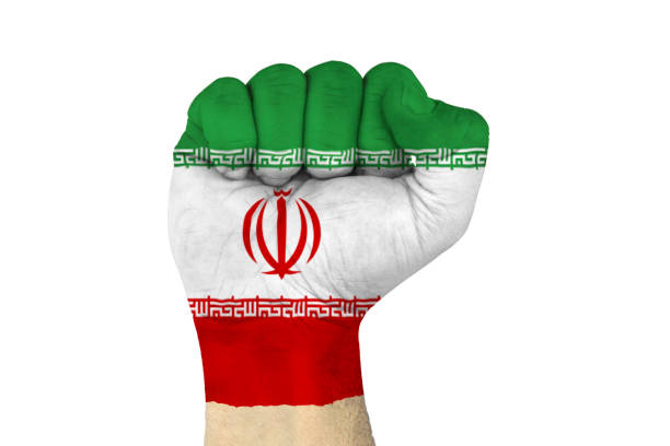 male hand in fist shape with flag covered