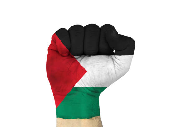 male hand in fist shape with flag covered
