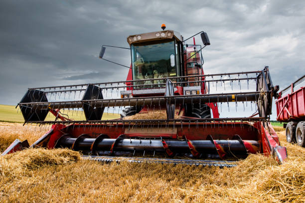 istock combine before the rain arrives 1161212477