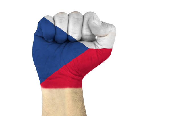 male hand in fist shape with flag covered