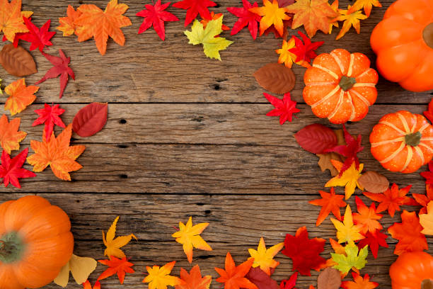 istock Autumn multicolored  leaves and pumpkins old brown wood table background with copy space 1161213667