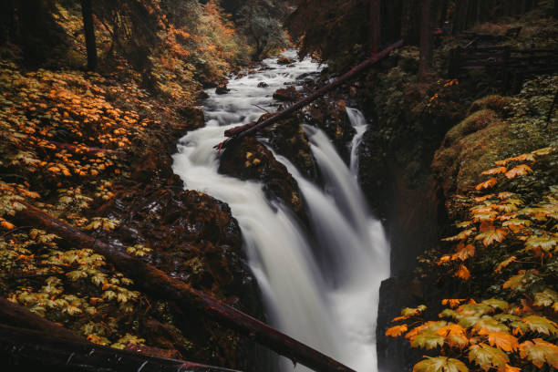 istock Sol Duc Falls, Olympic National Park, Washington 1161214138