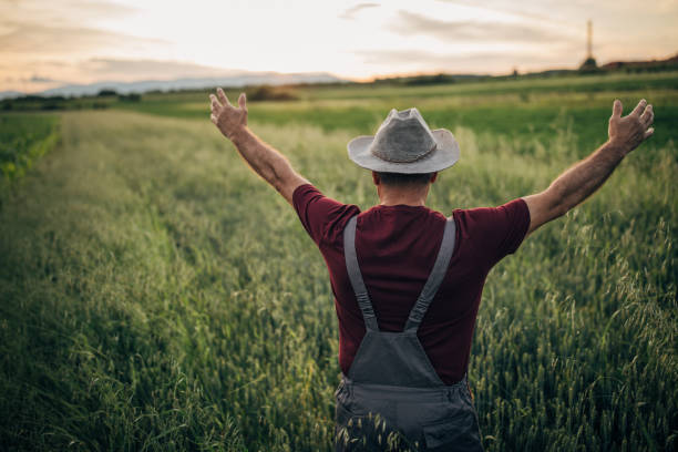 istock Senior farmer celebrating successful season 1161214202