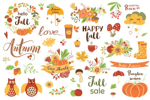 Vector illustration of Autumn floral set. Colorful floral elements for fall floral clipart Flowers owl pumpkin apple floral bouquet vector