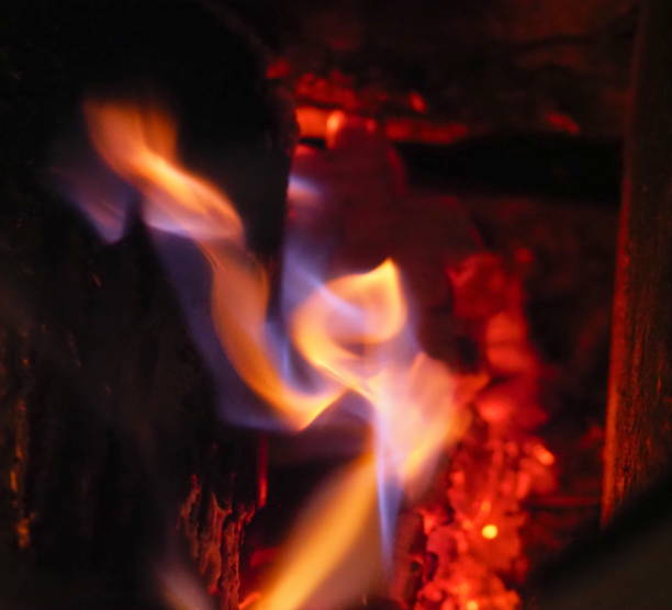 istock flames on a log in a stove - 3 1161219039