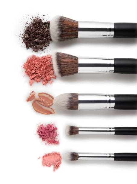 beauty brushes. - foundation paintbrush make up brush femininity imagens e fotografias de stock