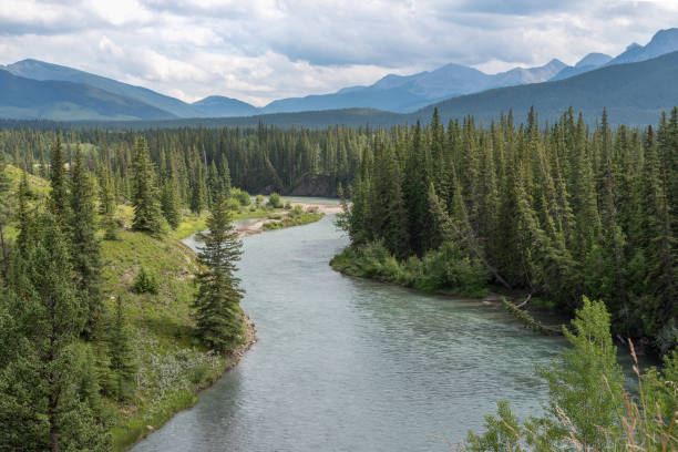 istock Aerial View of the Kananaskis River 1161220667