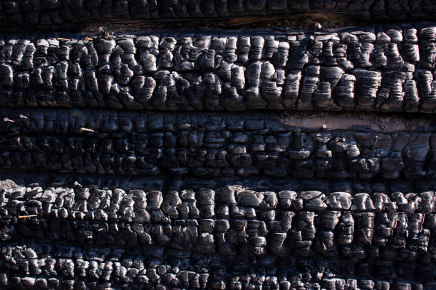 istock Natural fire ashes with dark grey black coals texture. It is a flammable black hard rock. copyspace 1161222822