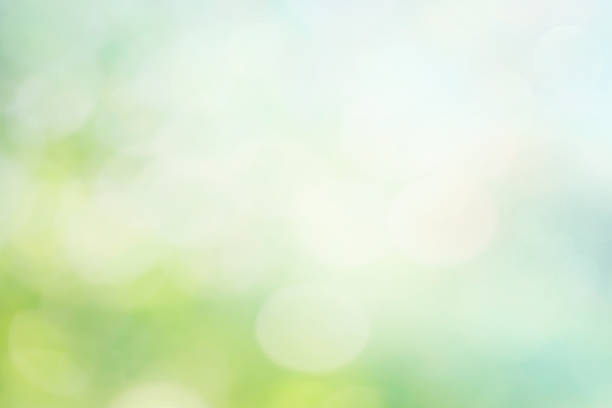 istock Abstract blur spring background. Green and blue bokeh 1161223546
